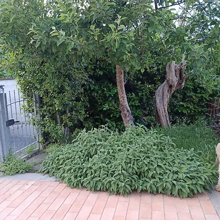 Wellness Trasimeno Couette-café Tuoro sul Trasimeno